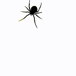 spider4mh.gif